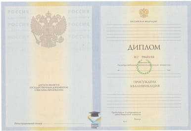 Диплом КемТИПП 2010-2011 годов